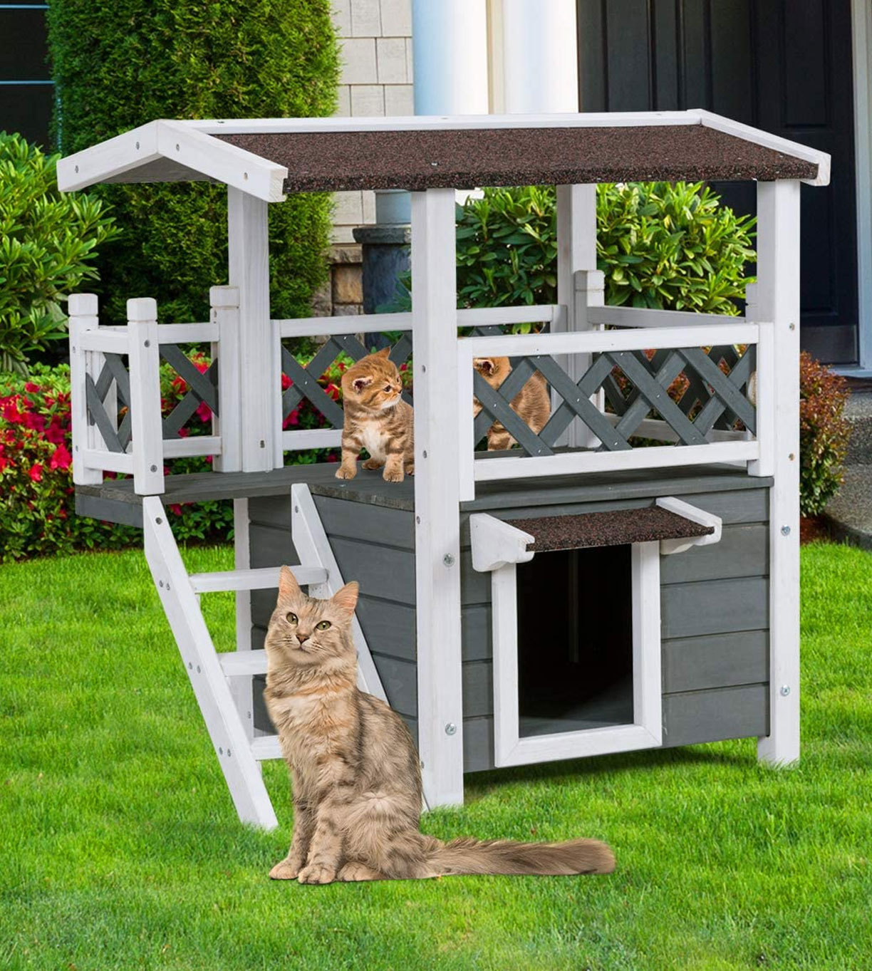 diy outdoor cat house