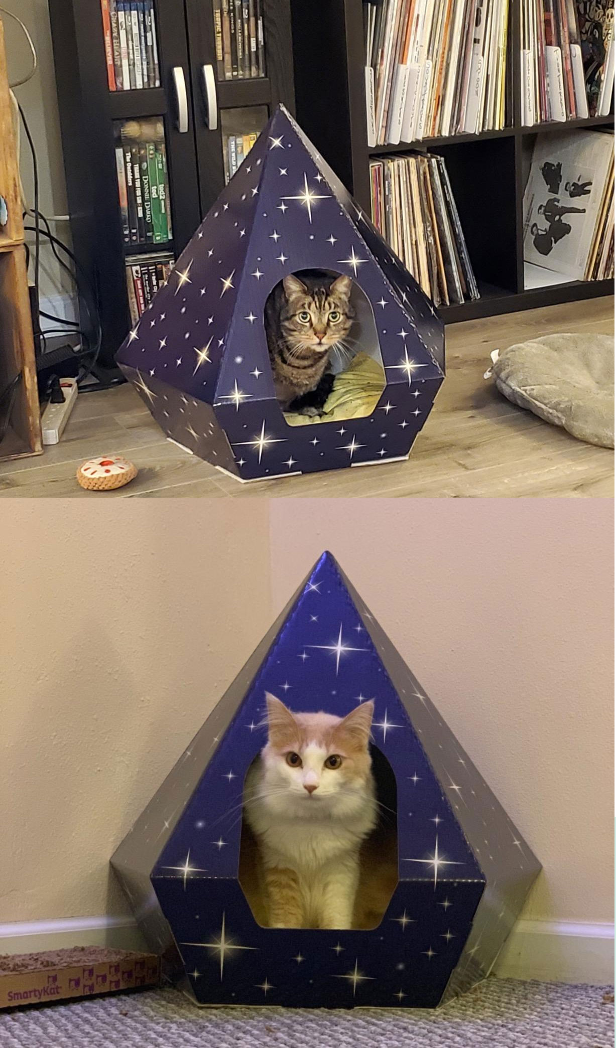 cat house indoor