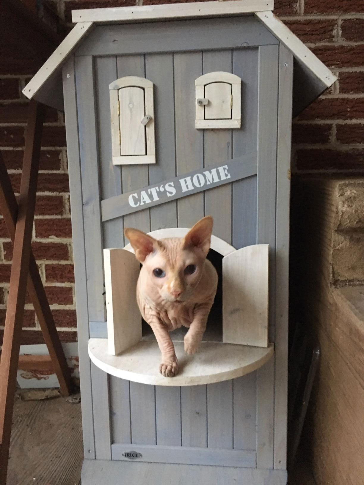 cat house design