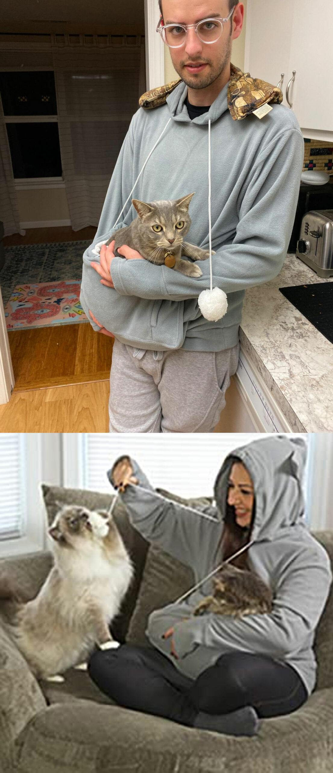 cat hoodie carrier