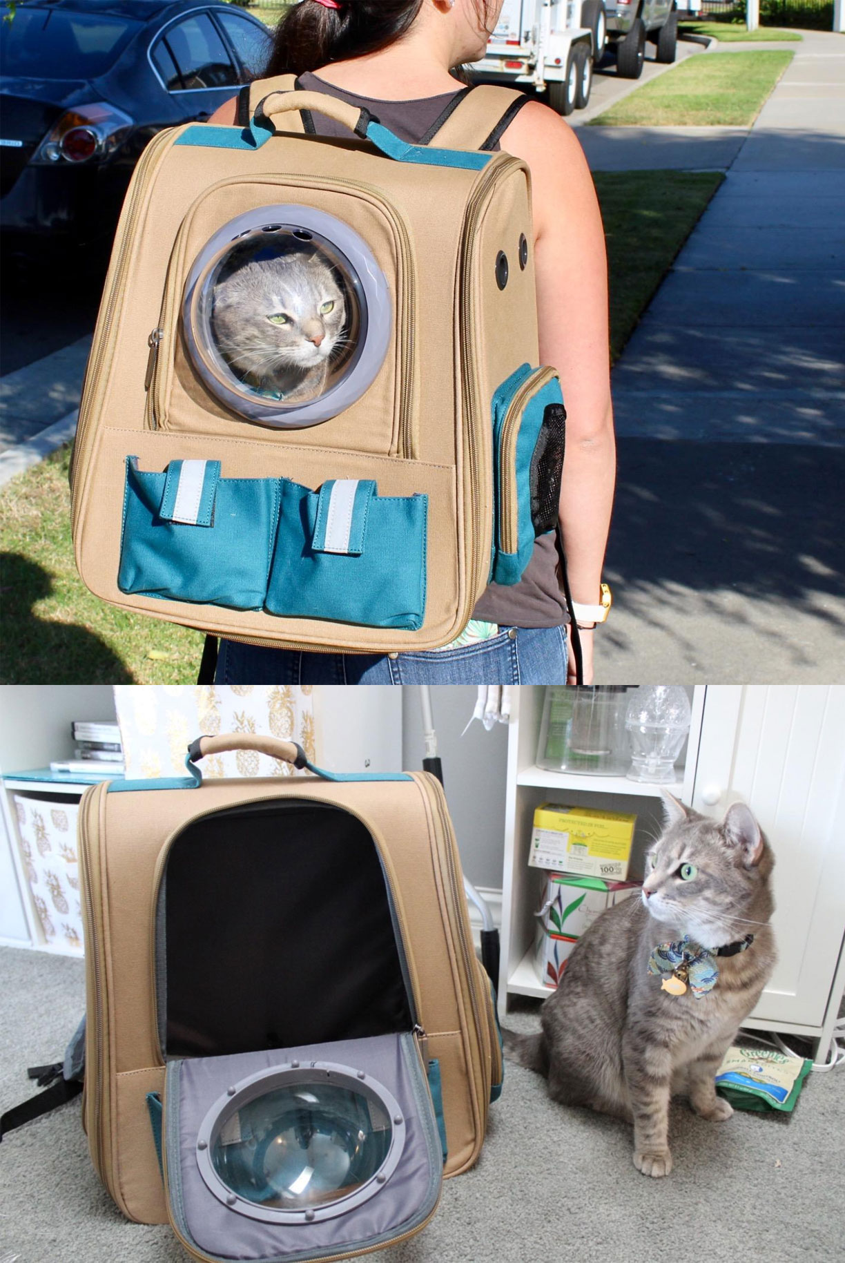 Cute cat backpack