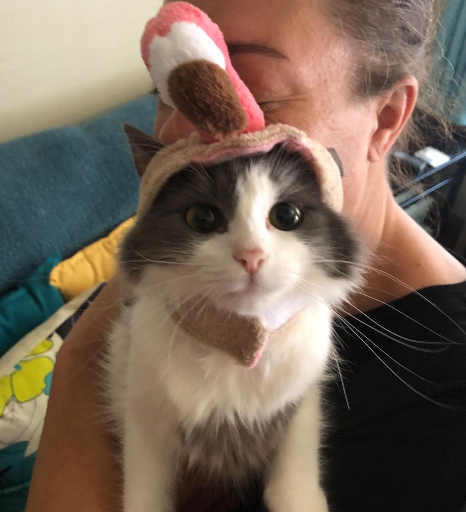 cute cat ears halloween costume