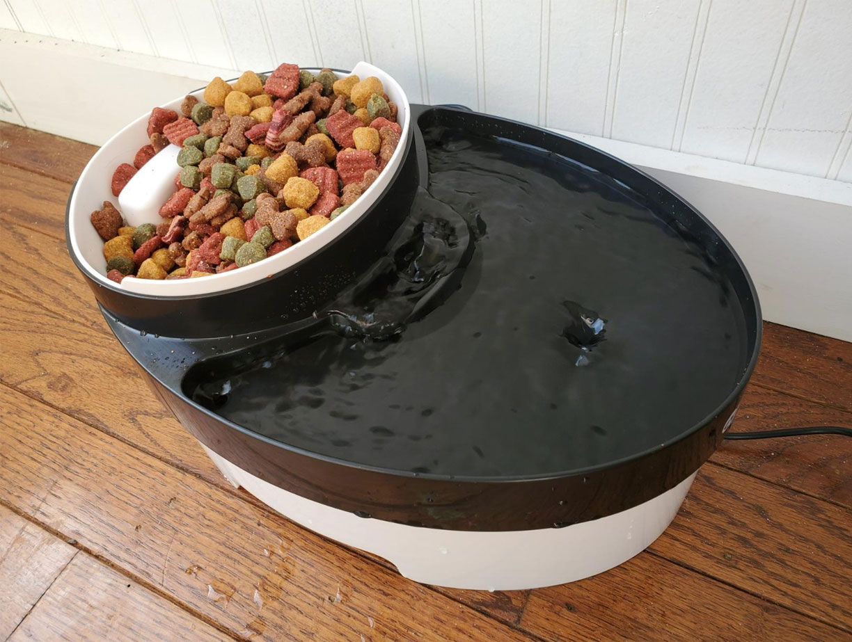 designer cat bowls