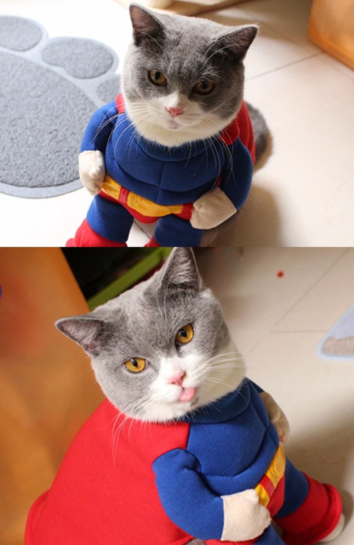 superman cat costume