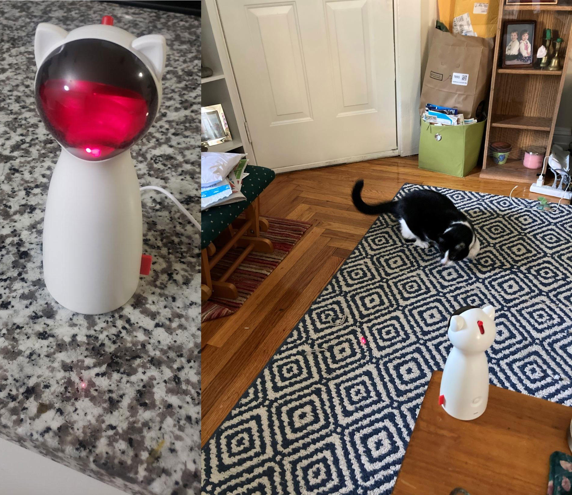 unique cat toys and furniture