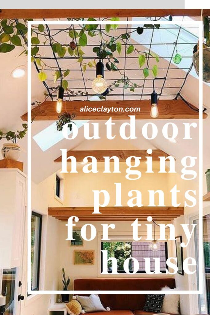 outdoor hanging plants